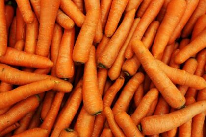 Carbon-Neutral Carrots: The Future Of Sustainable Farming