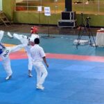 Pakistani Pair Hamza, Mazhar Bag Golds For Pakistan In Taekwondo